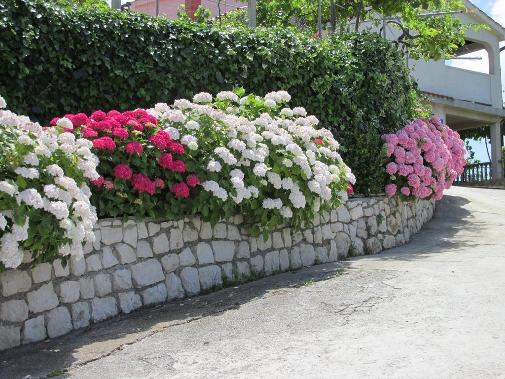 Apartmani Roza Lopar Buitenkant foto