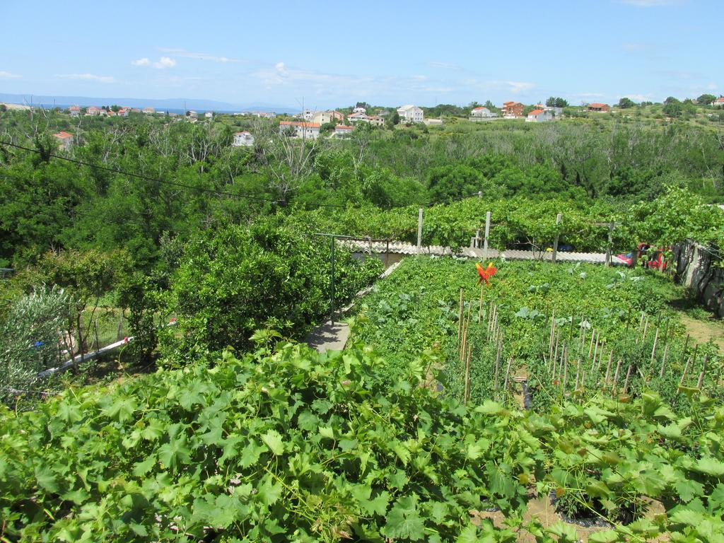 Apartmani Roza Lopar Buitenkant foto
