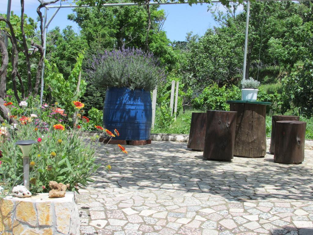 Apartmani Roza Lopar Buitenkant foto